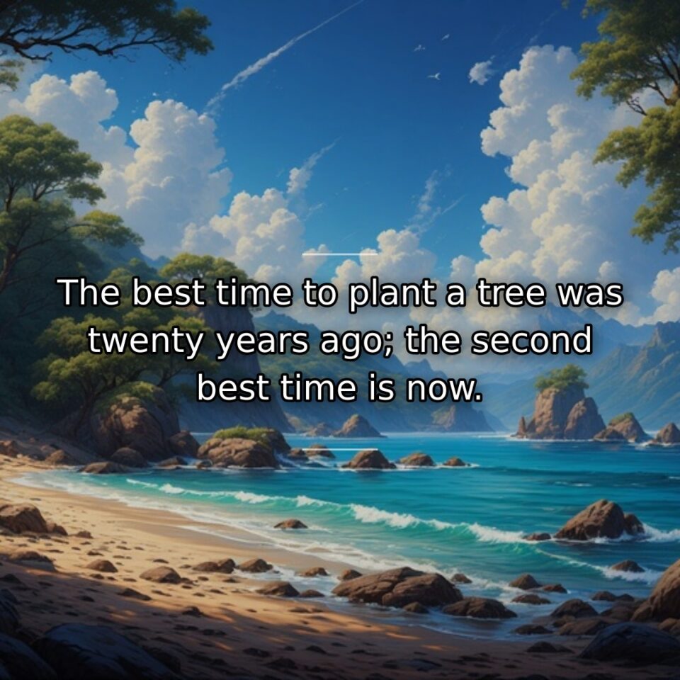 The best time to plant a tree was twenty years ago; the second best time is now.