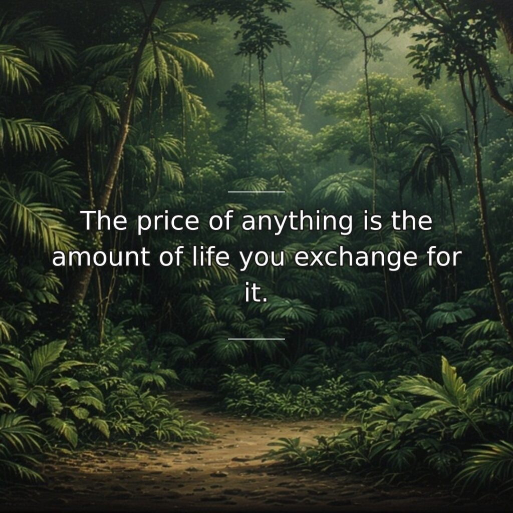 Every purchase, commitment, and indulgence costs time, which is your life. Money… quote