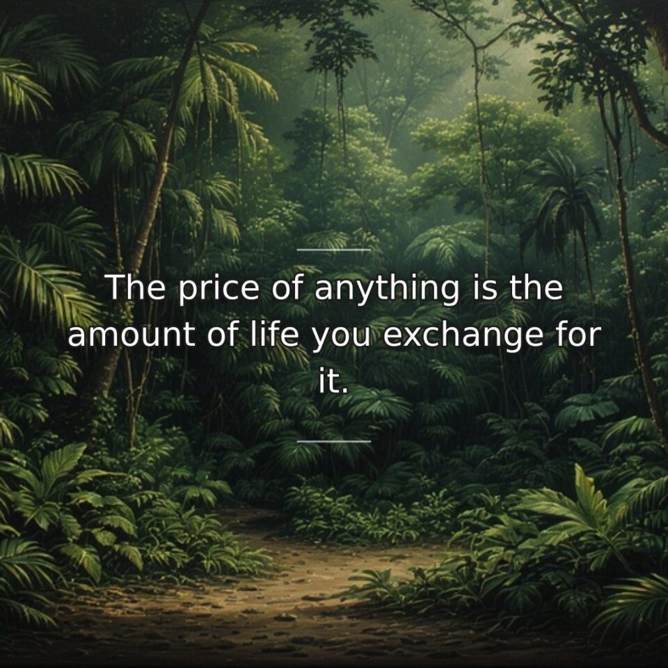The price of anything is the amount of life you exchange for it.