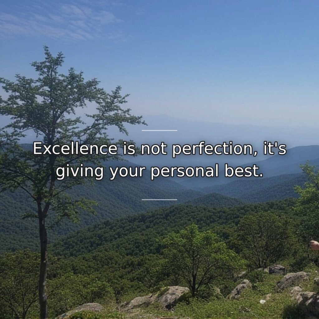 True excellence involves maximizing our unique capabilities rather than achieving impossible flawlessness.… quote