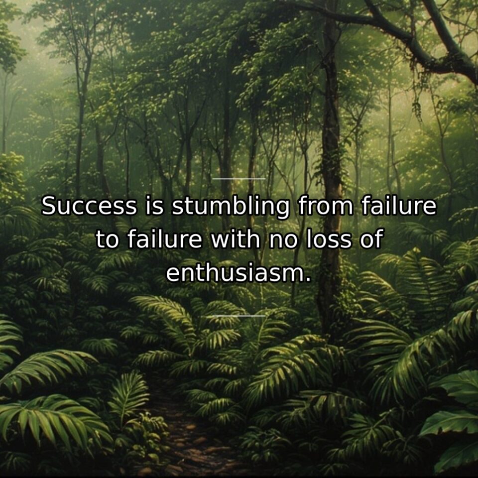 Success is stumbling from failure to failure with no loss of enthusiasm.