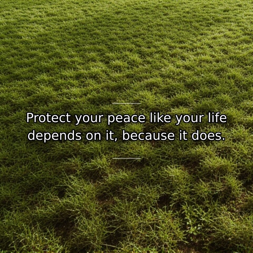 Mental and emotional tranquility directly impacts overall wellbeing and quality of life.… quote