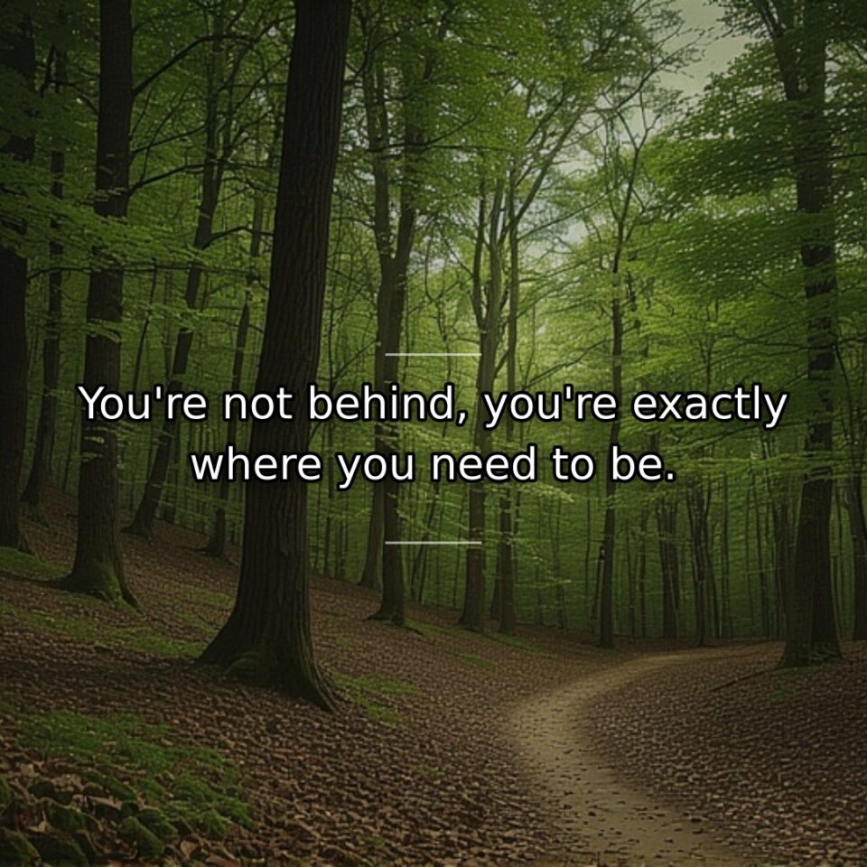 Divine timing and individual paths make comparisons meaningless. This quote counters the… quote