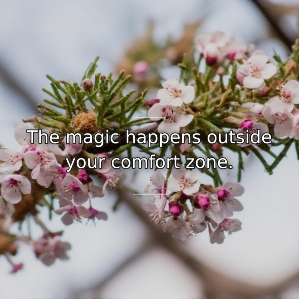 Extraordinary experiences and growth exist beyond familiar territory. This quote identifies the… quote