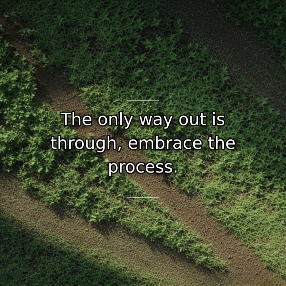 Avoiding or circumventing difficulties prolongs suffering while direct engagement resolves it. This… quote