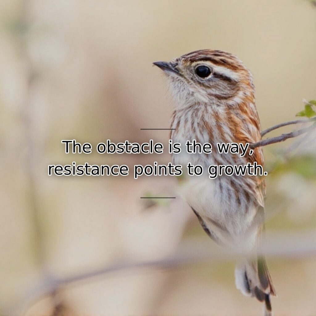 What blocks our path often is the path itself. This quote reframes… quote