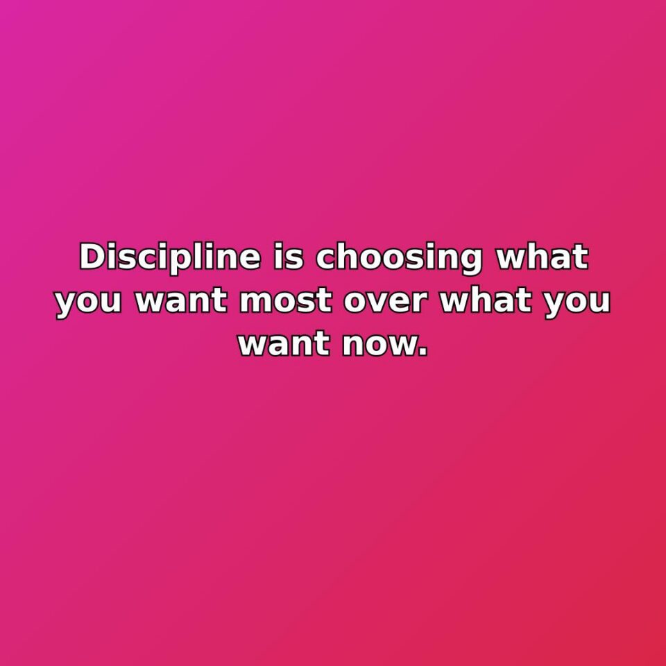 Discipline is choosing what you want most over what you want now. quote