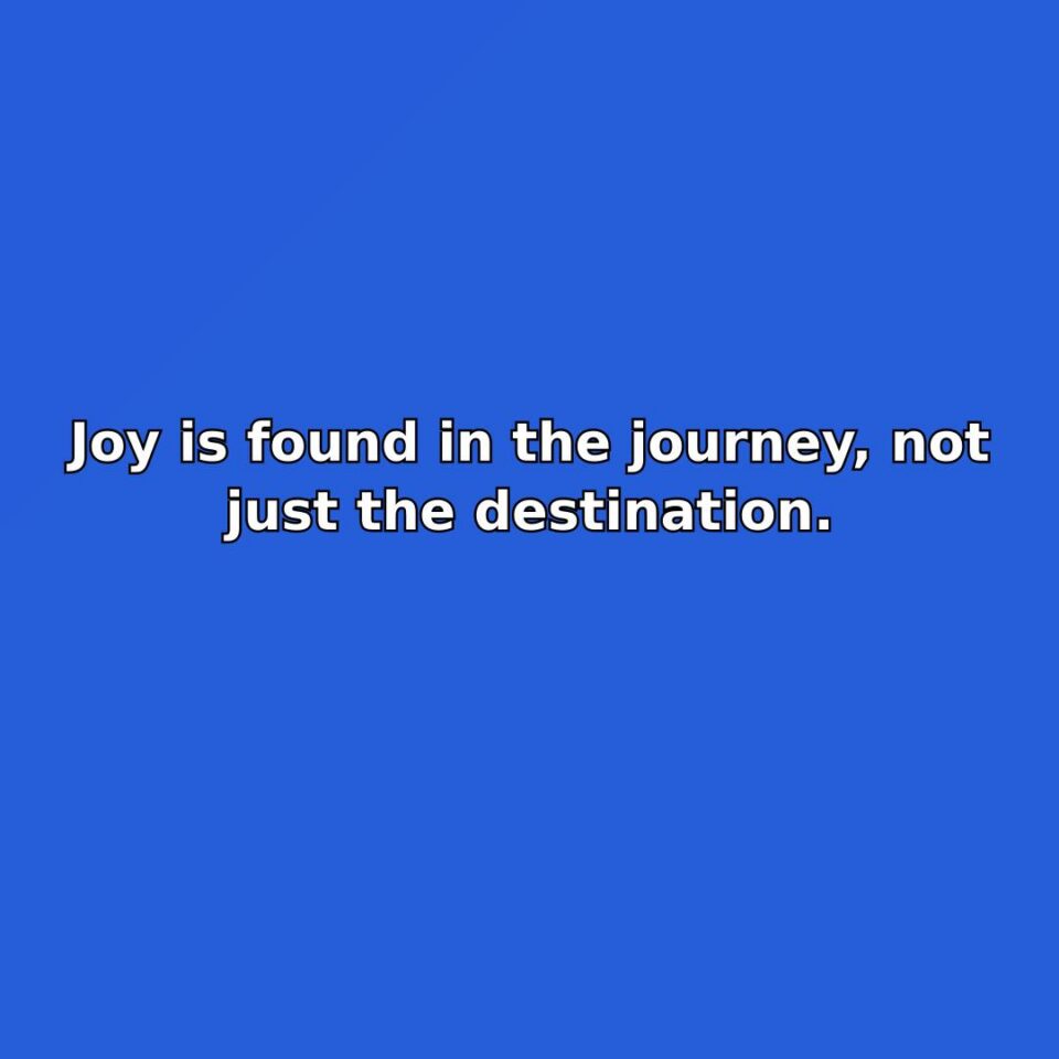 Joy is found in the journey, not just the destination. quote