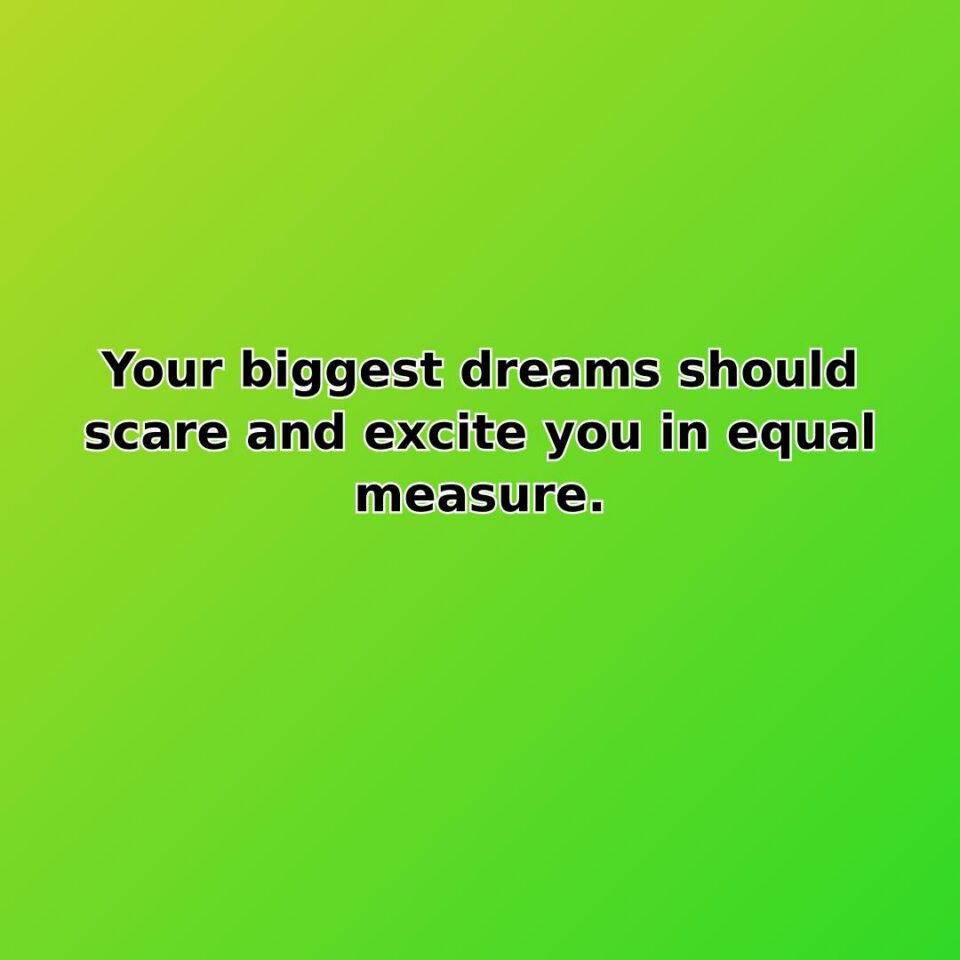 Your biggest dreams should scare and excite you in equal measure. quote