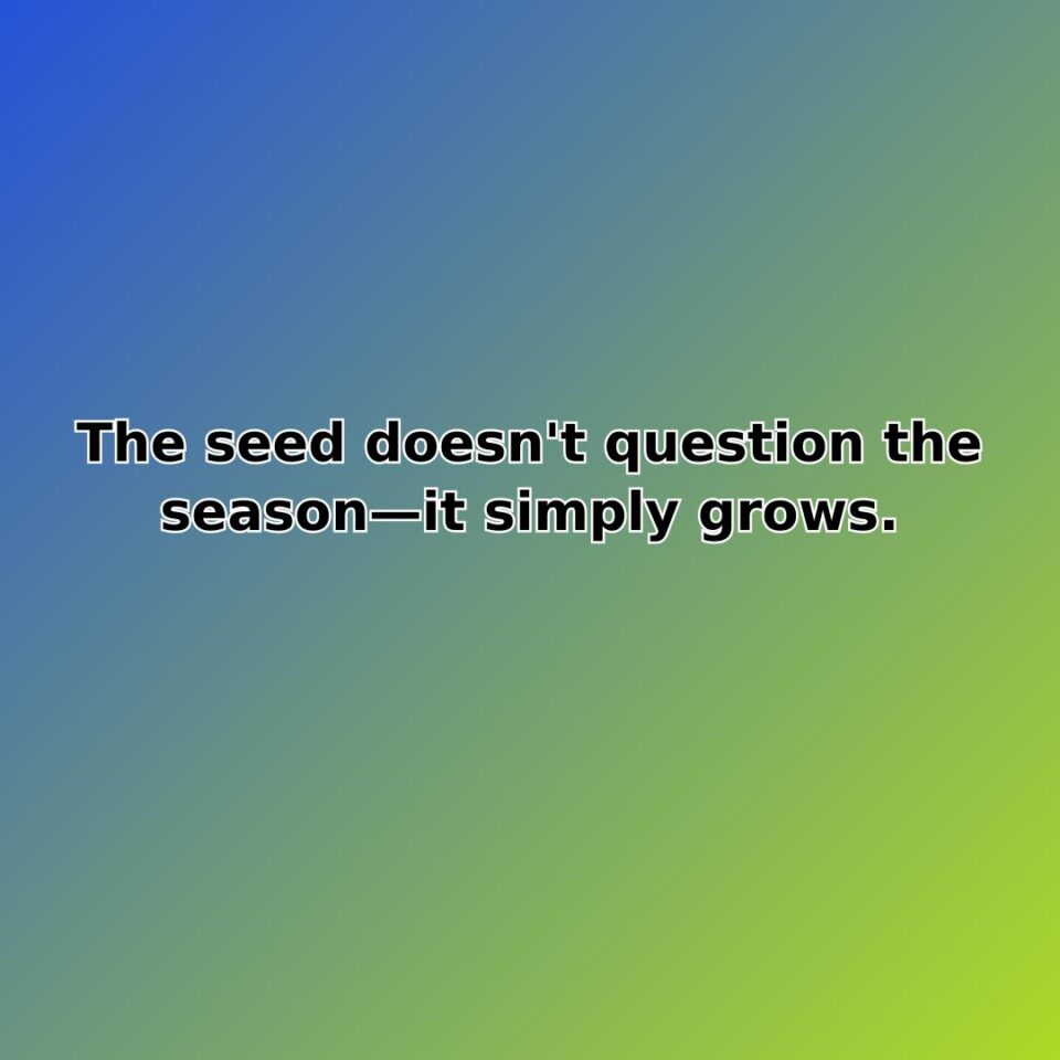 The seed doesn't question the seasonit simply grows.