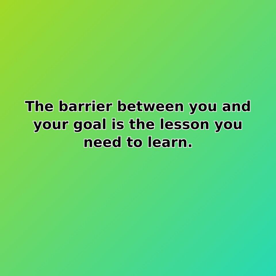 The barrier between you and your goal is the lesson you need… quote